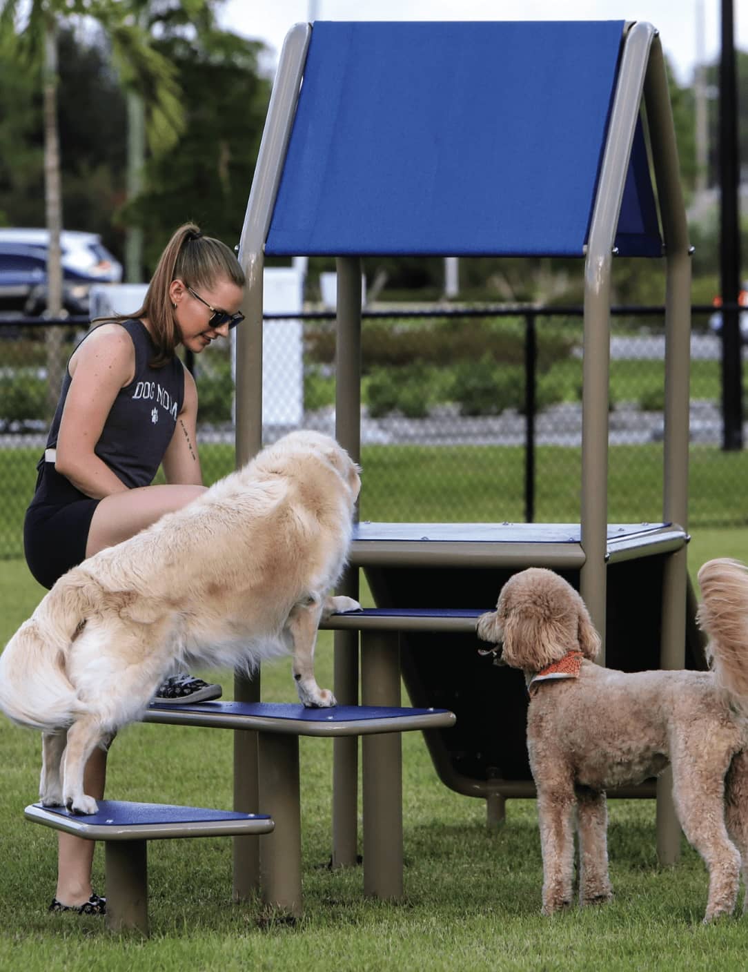 Two dogs and a resident enjoying the pet park at a community